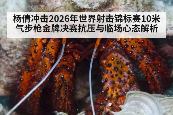 杨倩冲击2026年世界射击锦标赛10米气步枪金牌决赛抗压与临场心态解析